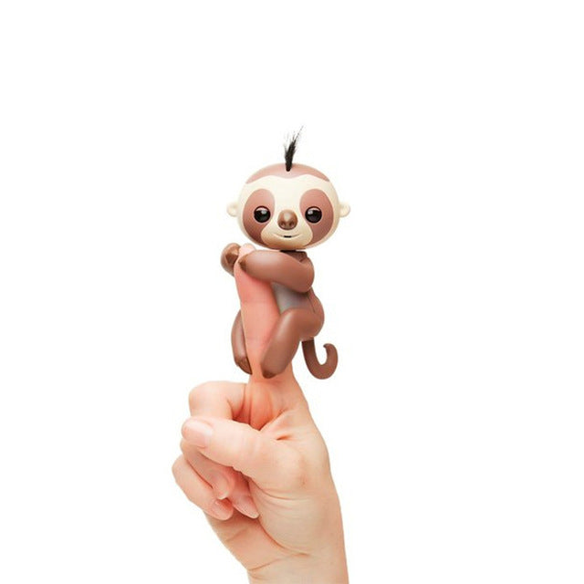 Kingsley | Sloth Finger Monkeys - FingersMonkeysShop